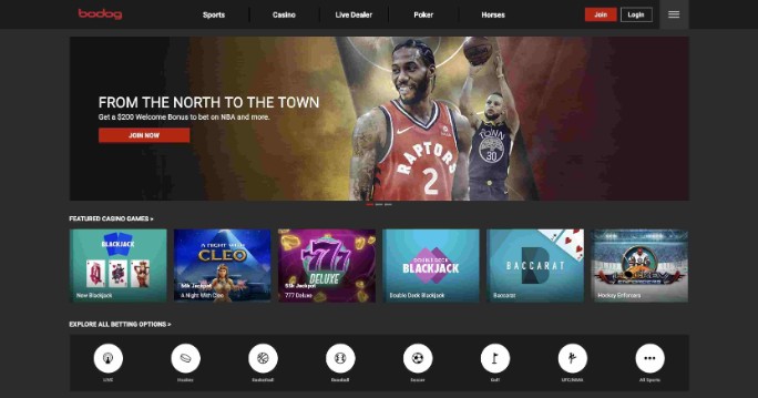 Bodog screenshot